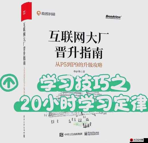 2025年春节前夕，新手如何速成新技能与知识的高效秘诀